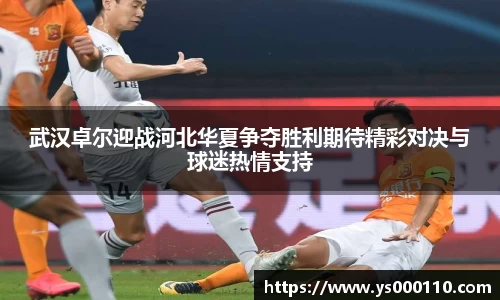 boyu博鱼官方app
